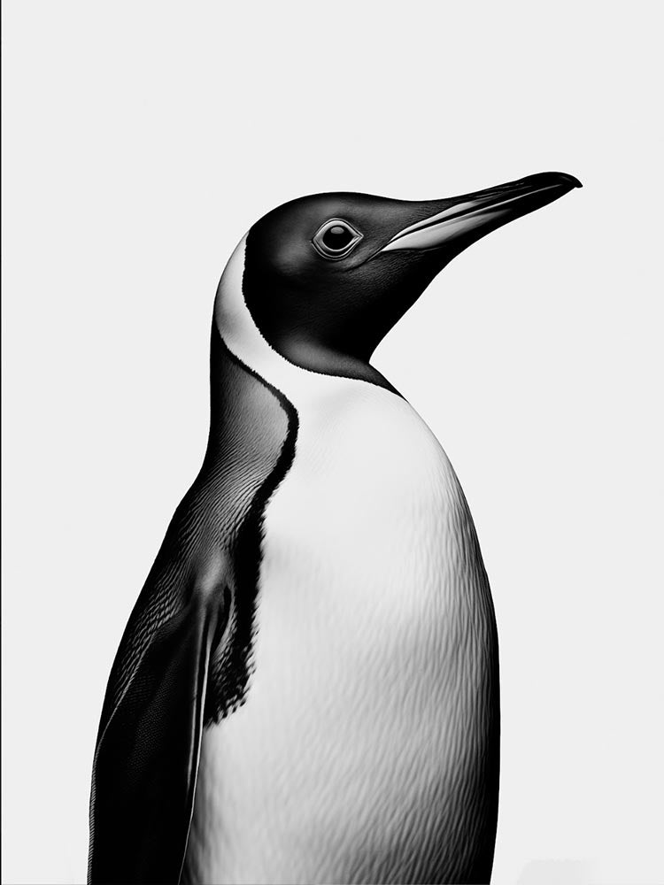 Quadro Decorativo Pinguim PB