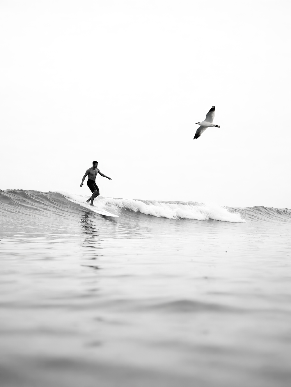 Solitário Surfista