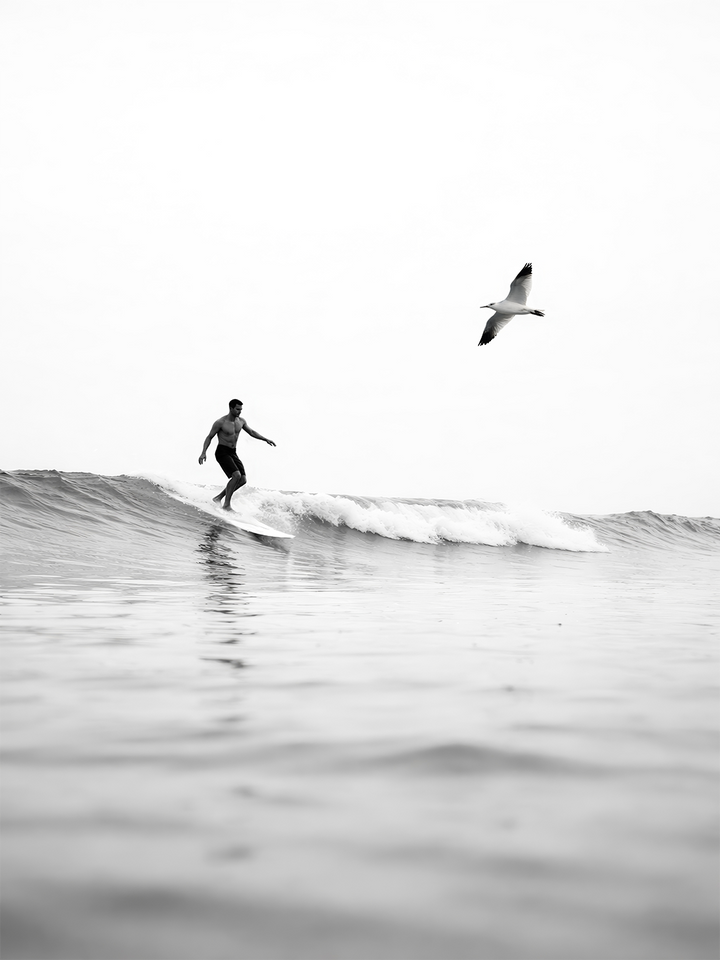 Solitário Surfista