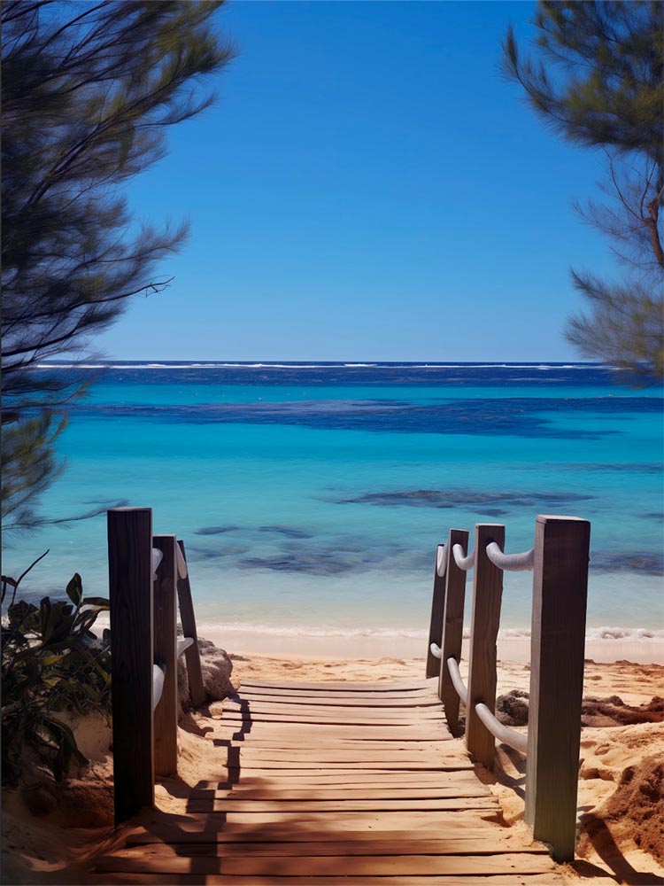 Quadro Decorativo Caminho da Praia