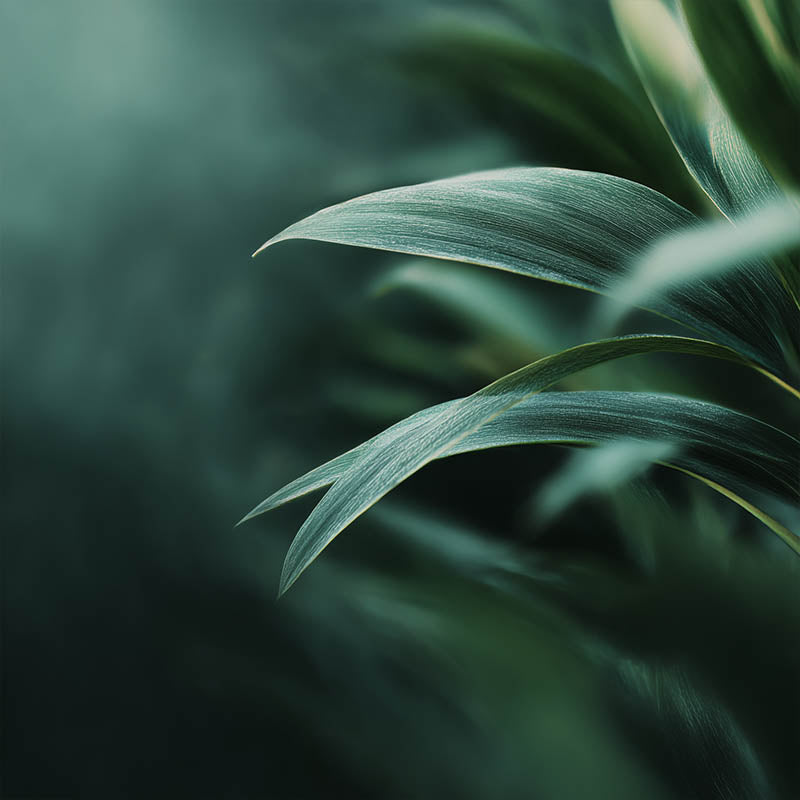 Quadro Decorativo Greens 03