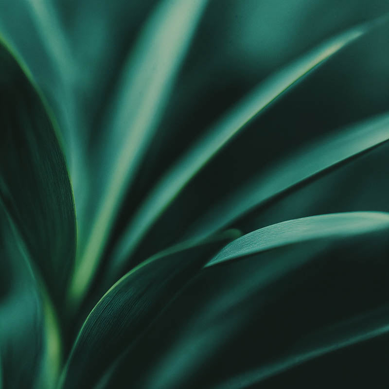 Quadro Decorativo Greens 04