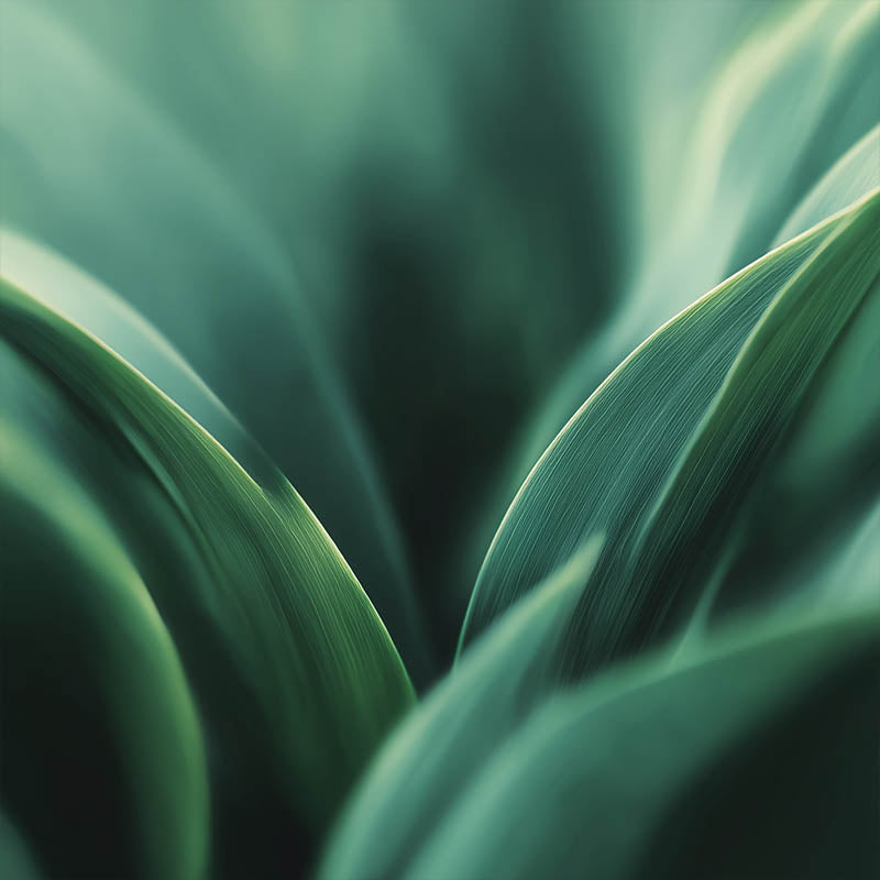 Quadro Decorativo Greens 06
