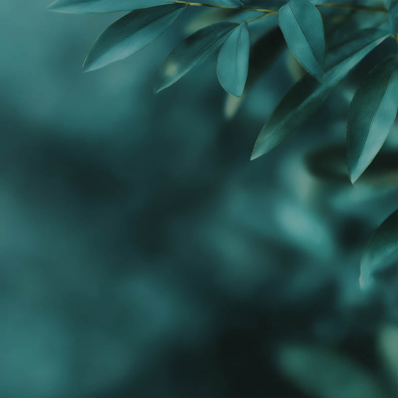 Quadro Decorativo Greens 07