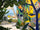 Kite Garden 12