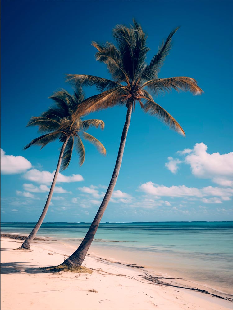 Quadro Decorativo Praia e Coqueiros