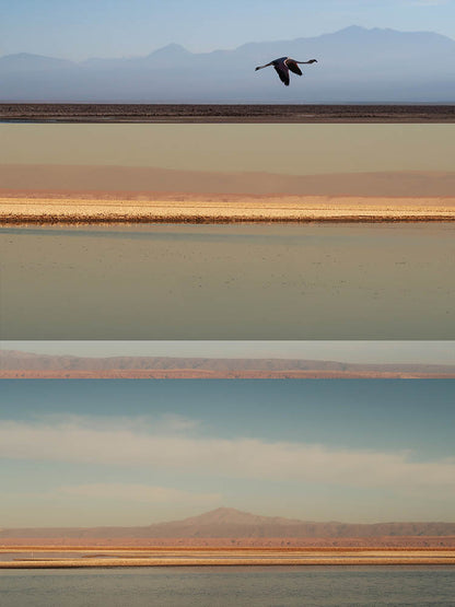Salar do Atacama