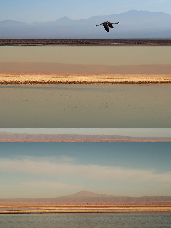 Salar do Atacama