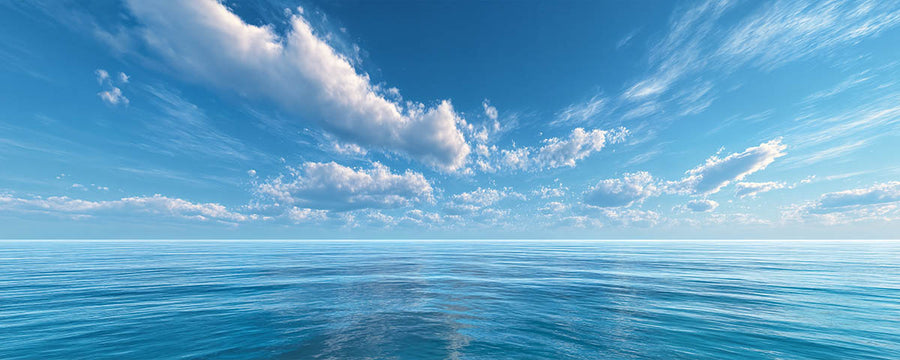 Quadro Decorativo The Vast Sea
