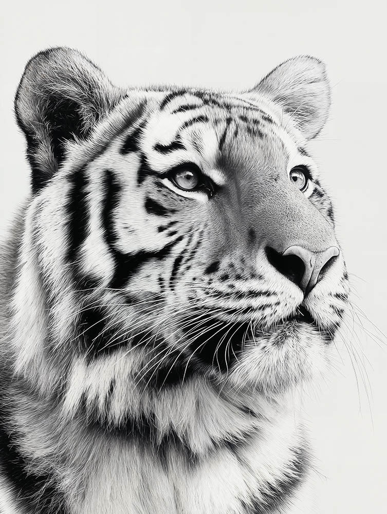 Quadro Decorativo Tigre 2