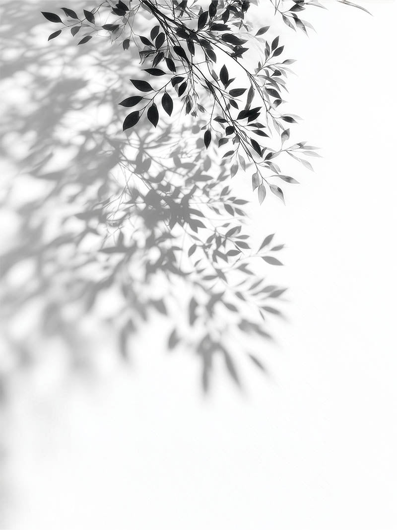 Quadro Decorativo White Minimal Tree