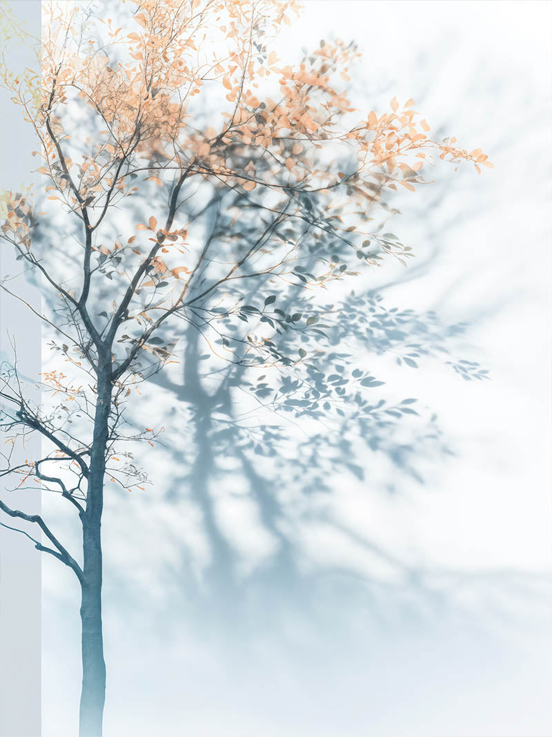 Quadro Decorativo White Tree 2